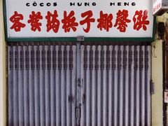 -洪馨椰子