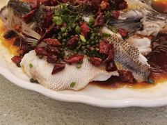 -北海渔村酒楼·粤菜海鲜点心(新华店)