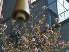 -麦田工坊(月湖店)