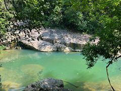 -广州白江湖森林公园