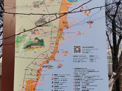 -日照灯塔风景区