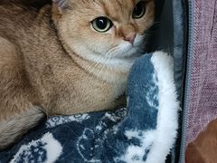 -芭比堂爱心动物医院(柯桥康爱分院)