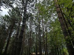 -北极村旅游风景区