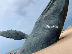 -烟台金沙滩海滨公园