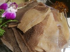 精品千层肚-渝味晓宇火锅(合川路店)