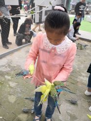 -上美四季动物农场