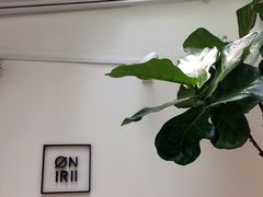 大堂-Onirii Coffee(长乐路店)