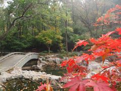 -大伊山景区