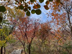 -周口店坡峰岭风景区
