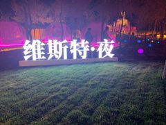 -维斯特·夜烤牛肋条任吃