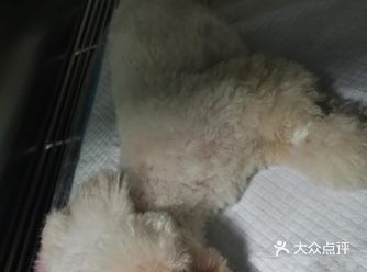 之前养的猫在他们家做的绝育，没想到他们分院开在我家楼