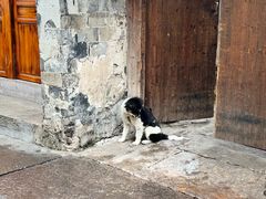 -糯米油条经营部