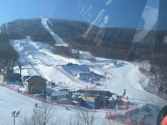 -亚布力新体委滑雪场