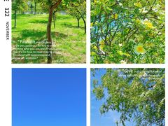 -石家庄市植物园