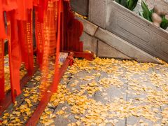 -宝通禅寺