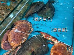-桔子海鲜烧烤大排档(台东店)