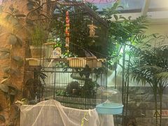 -丽江庭院之丽江往事(安定门店)