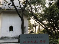 -江心屿景区