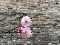 -北京明城墙遗址公园