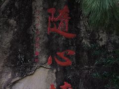 -清境桃源