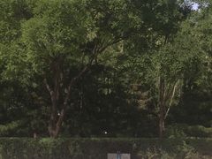 -森林公园(尖草坪区)