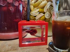 -Metal hands·铁手咖啡