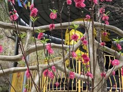 -龙门水都景区