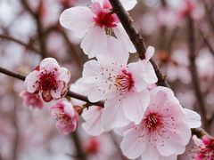 -西南政法大学(渝北校区)