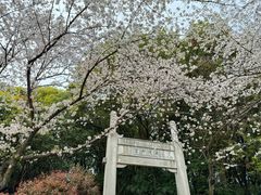 -苏州上方山国家森林公园