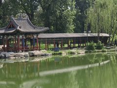 -晋祠公园