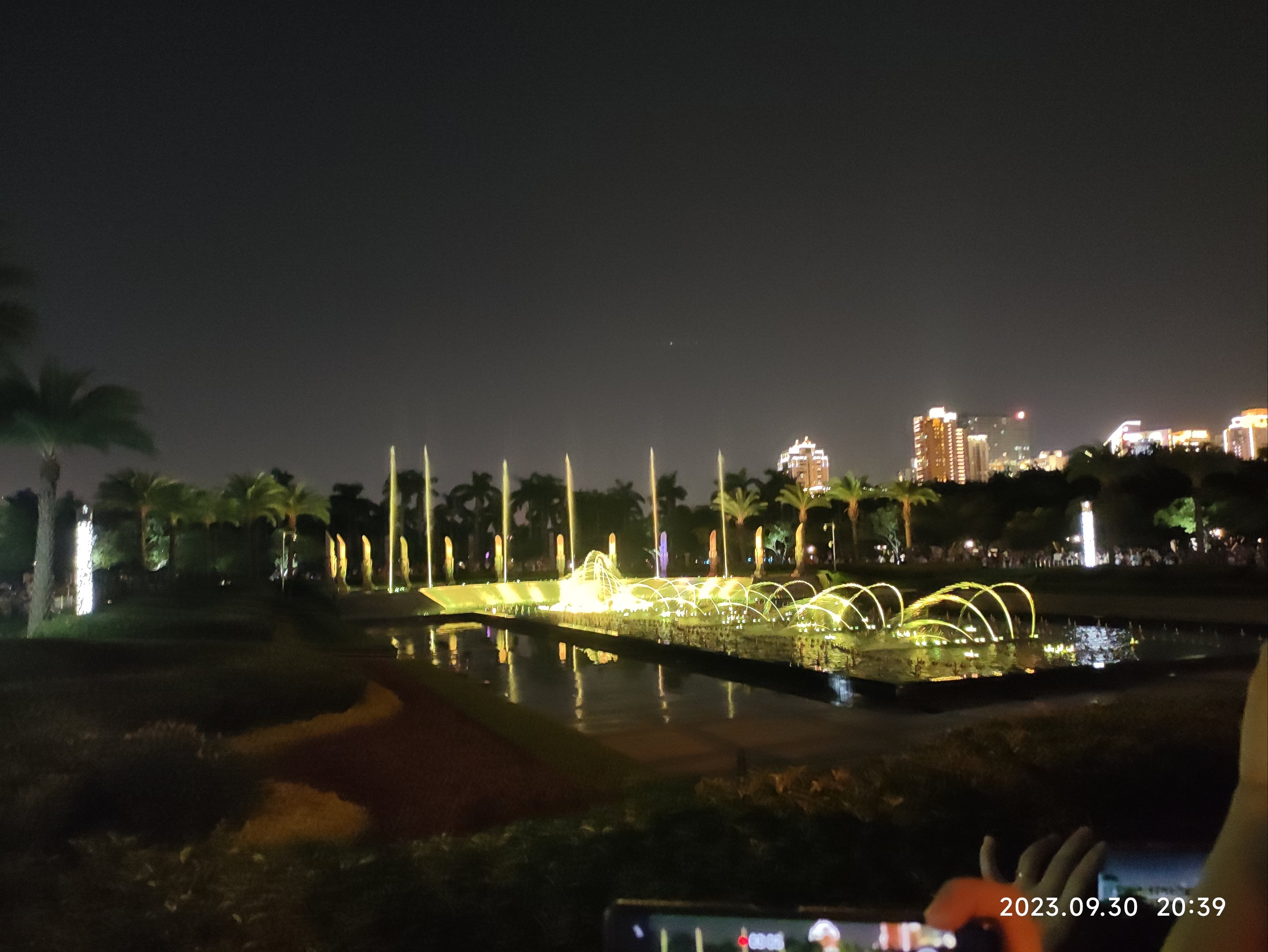 厦门白鹭洲公园夜景图片