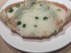 -陶陶居海鲜酒家(新马路店)