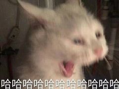 -箪食记(汉口路店)