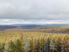 -塞罕坝国家级自然保护区