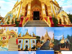 -桤木河湿地公园