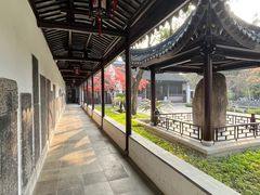-苏州文庙(姑苏区)