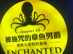 -贝壳梦幻世界