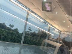 -岳阳东站