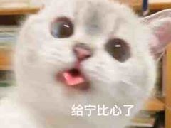 -龍歌自助小火锅(李沧顺和汇店)