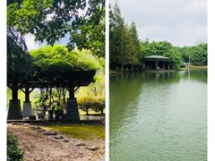 -白塘生态植物园