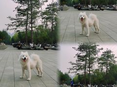 -汉长安城未央宫国家考古遗址公园