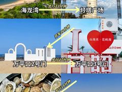 -日照海滨国家森林公园