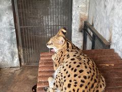 -石家庄市动物园