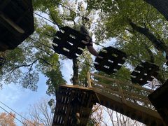 -WeLope紫金山探险公园