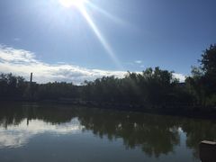 iphone_upload_pic-西海子公园