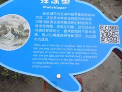 -北海金海湾红树林生态旅游区