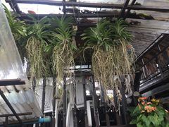 -自然餐厅(Phuket)