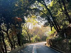 -杭州半山国家森林公园