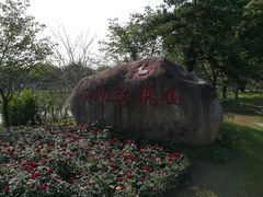 -鹅湖玫瑰文化园