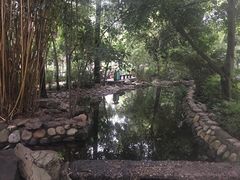-成都市活水公园